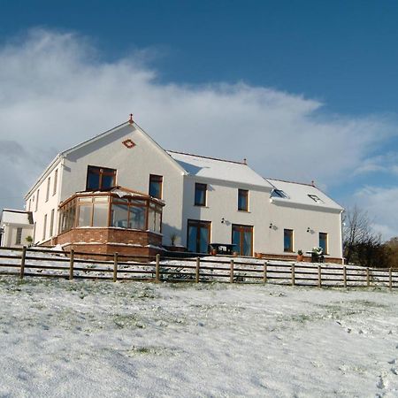 Ferienwohnung Penddaulwyn Uchaf Farm # Carmarthenshire Nantgaredig Exterior foto