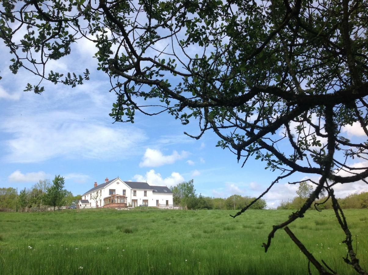 Ferienwohnung Penddaulwyn Uchaf Farm # Carmarthenshire Nantgaredig Exterior foto