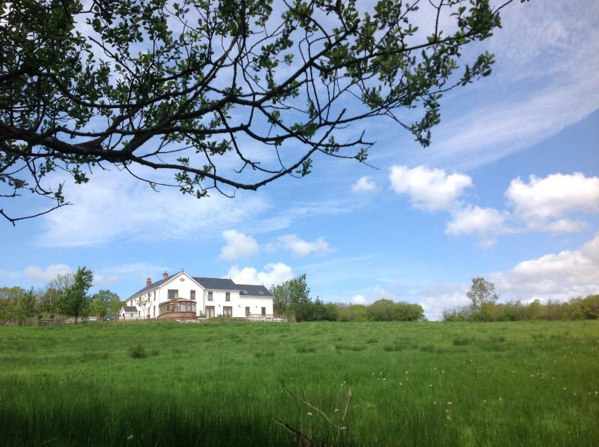 Ferienwohnung Penddaulwyn Uchaf Farm # Carmarthenshire Nantgaredig Exterior foto