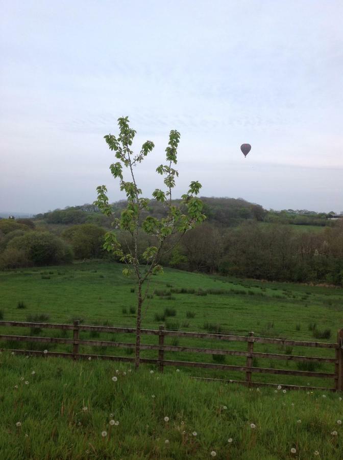 Ferienwohnung Penddaulwyn Uchaf Farm # Carmarthenshire Nantgaredig Exterior foto